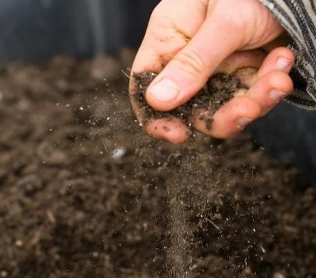 Clean Soil Drop Off So MD