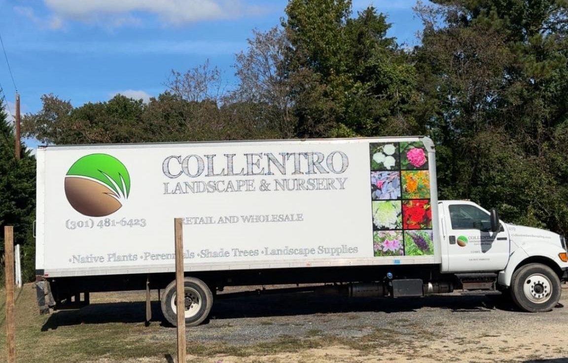 Collentro Nursery So MD